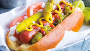 Chicago Style Hot Dog